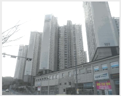  2025Ÿ329 泲  Ͽ  1412 ھƷũ帲 102 7704ȣ   Ʈ