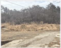  2025Ÿ379 泲  ȸȭ ׸ 229-2      ()