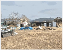  2025Ÿ379 泲  ȸȭ ׸ 229-2      ()