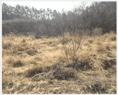  2025Ÿ379 泲  ȸȭ ׸ 229-2      ()