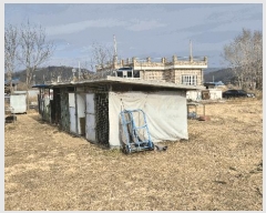  2025Ÿ379 泲  ȸȭ ׸ 229-2      ()