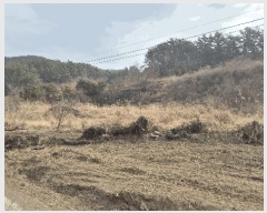  2025Ÿ379 泲  ȸȭ ׸ 229-2      ()