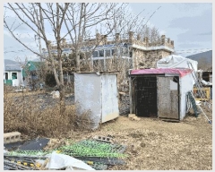  2025Ÿ379 泲  ȸȭ ׸ 229-2      ()