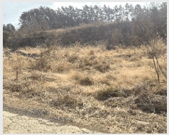  2025Ÿ379 泲  ȸȭ ׸ 229-2      ()