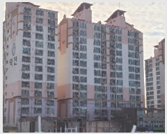  2025Ÿ396 泲    1224-1 Ʈ 101 111101ȣ   Ʈ