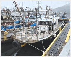  2025Ÿ468           ڰ