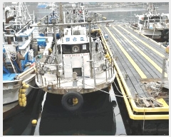  2025Ÿ468           ڰ