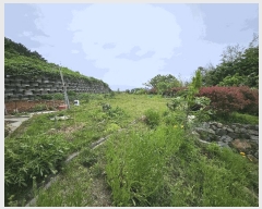  2025Ÿ��476 �泲 ������ ���θ� ������ 45      ���(ķ����)���