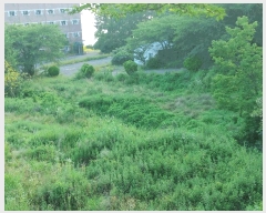  2025Ÿ��524  ����