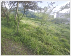  2025Ÿ��524  ����