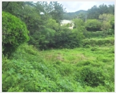  2025Ÿ��524  ����