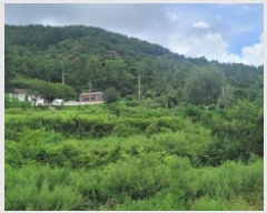  2025Ÿ��524  ����