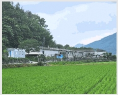  2025Ÿ��540 �泲 ������ ȸȭ�� ��и� 1089-3      ���(�󰡽ü�)���