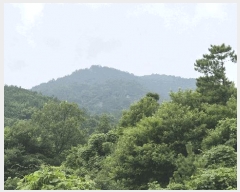  2025Ÿ��556  �Ӿ߰��