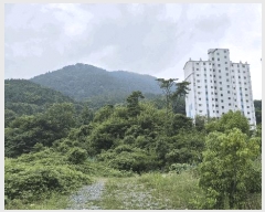  2025Ÿ��556  �Ӿ߰��