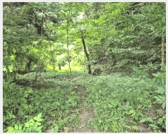  2025Ÿ��556  �Ӿ߰��