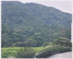  2025Ÿ��556  �Ӿ߰��