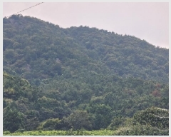  2025Ÿ��556  �Ӿ߰��