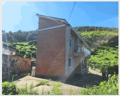  2025Ÿ��564  ���ð��