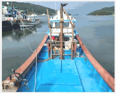  2025Ÿ��572  ���ڰ��