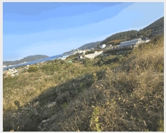  2025Ÿ��649 �泲 ������ �Ͽ�� �ҵ��� 577      ����(��)���