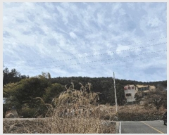  2025Ÿ20781 泲 뿵  ׸ 329      (1)