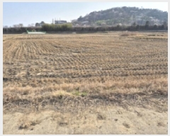  2025Ÿ20941 泲   ܸ 238-4      ()