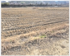  2025Ÿ20941 泲   ܸ 238-4      ()