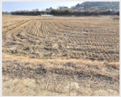  2025Ÿ20941 泲   ܸ 238-4      ()