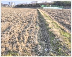  2025Ÿ20941 泲   ܸ 238-4      ()