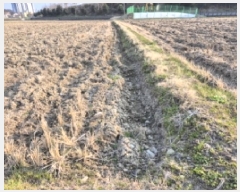  2025Ÿ20941 泲   ܸ 238-4      ()