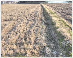  2025Ÿ20941 泲   ܸ 238-4      ()