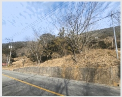  2025Ÿ��20991 �泲 �뿵�� ����� ���긮 ��121      ����(�Ӿ�)���