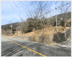  2025Ÿ��20991 �泲 �뿵�� ����� ���긮 ��121      ����(�Ӿ�)���