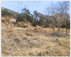  2025Ÿ��20991 �泲 �뿵�� ����� ���긮 ��121      ����(�Ӿ�)���