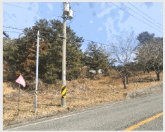  2025Ÿ��20991 �泲 �뿵�� ����� ���긮 ��121      ����(�Ӿ�)���