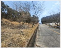  2025Ÿ��20991 �泲 �뿵�� ����� ���긮 ��121      ����(�Ӿ�)���