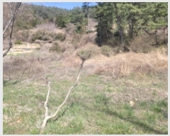  2025Ÿ��20991 �泲 �뿵�� ����� ���긮 ��121      ����(�Ӿ�)���