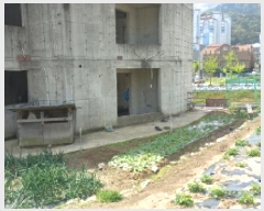  2025Ÿ��21201  ����