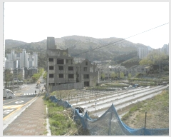  2025Ÿ��21201  ����