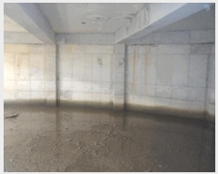  2025Ÿ��21201  ����