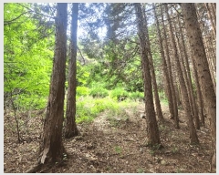  2025Ÿ��21225  �Ӿ߰��