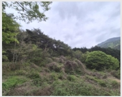  2025Ÿ��21225  �Ӿ߰��