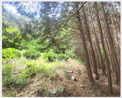  2025Ÿ��21225 �泲 ������ ������ ���и� 286-1      ���ð��