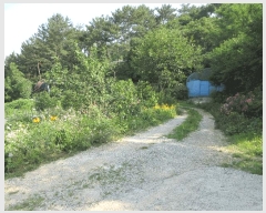  2025Ÿ��21374 �泲 �뿵�� �볲�� ���޸� 155      ����(��1)���