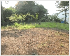  2025Ÿ��21374 �泲 �뿵�� �볲�� ���޸� 155      ����(��1)���