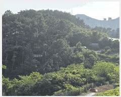  2025Ÿ��21374 �泲 �뿵�� �볲�� ���޸� 155      ����(��1)���