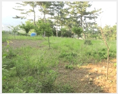  2025Ÿ��21374 �泲 �뿵�� �볲�� ���޸� 155      ����(��1)���