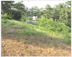  2025Ÿ��21374 �泲 �뿵�� �볲�� ���޸� 155      ����(��1)���