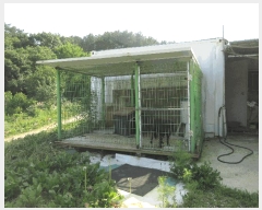  2025Ÿ��21374 �泲 �뿵�� �볲�� ���޸� 155      ����(��1)���